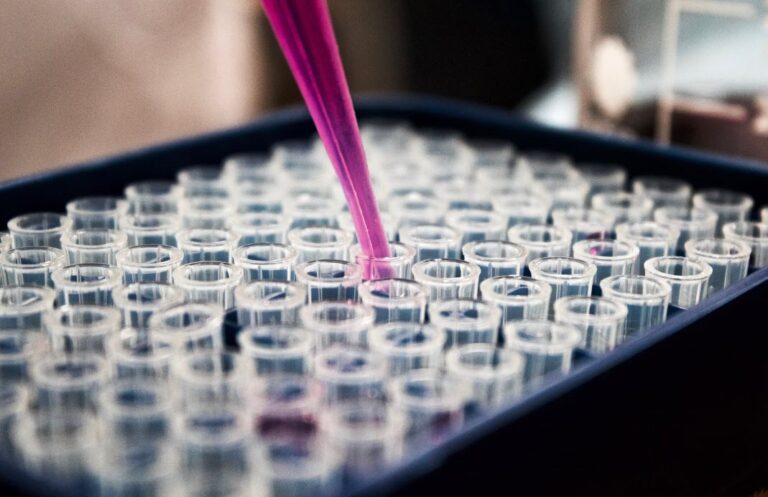 Lab Values on the AANP & ANCC Exam? | PractitionerExam.com